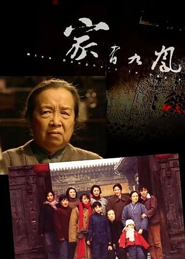 家有九凤电视剧海报