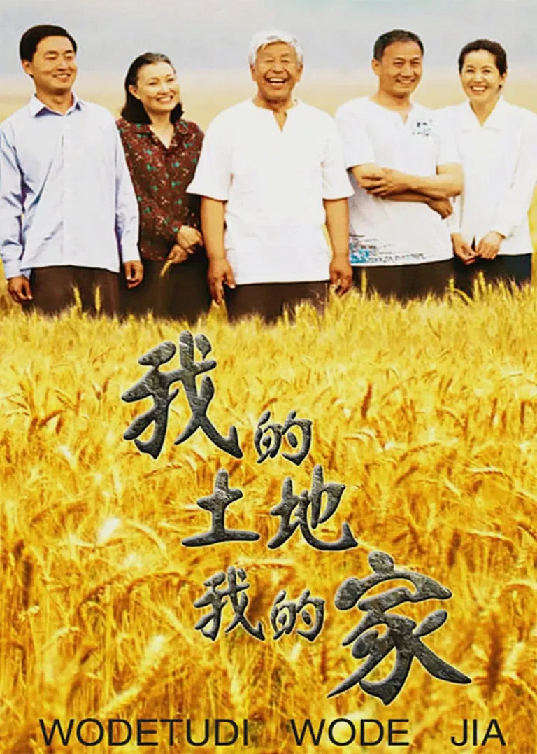 我的土地我的家电视剧海报