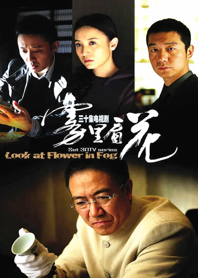 雾里看花电视剧海报