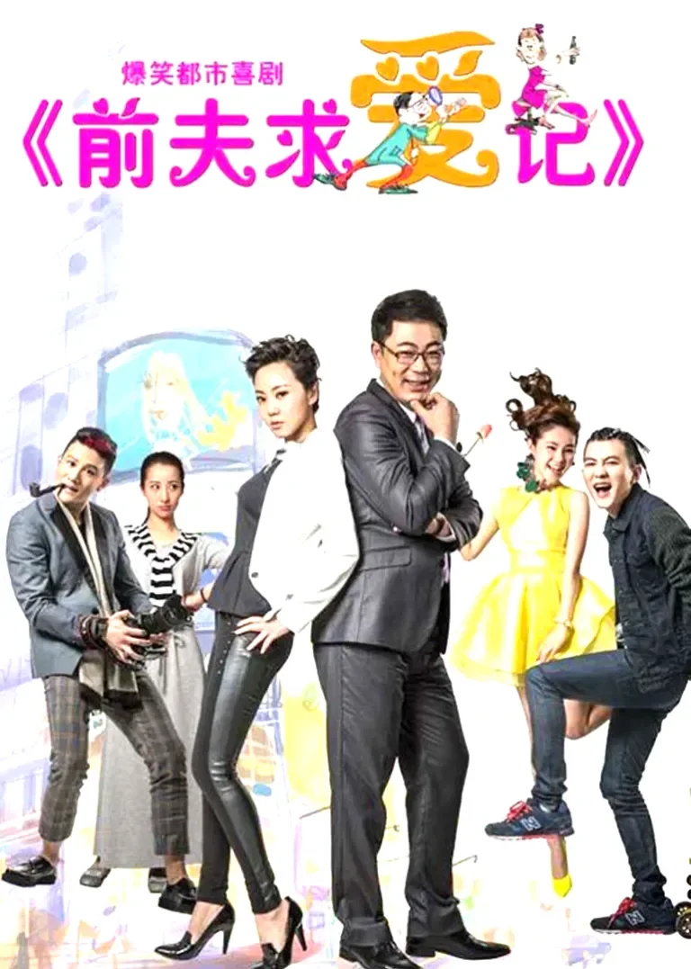 前夫求爱记[DVD版]电视剧海报