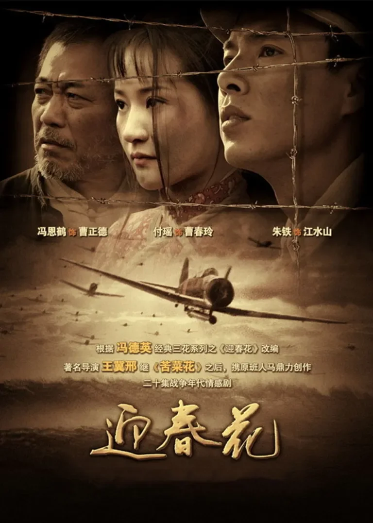 迎春花电视剧海报