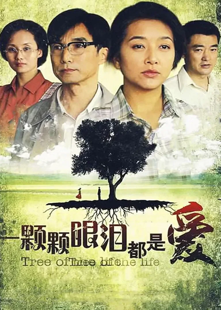 一颗颗眼泪都是爱电视剧海报