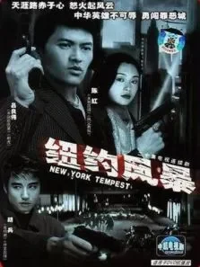纽约风暴电视剧海报