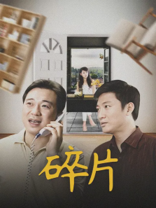 碎片
