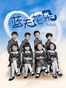 蓝天花朵电视剧海报