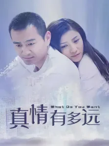 真情有多远电视剧海报