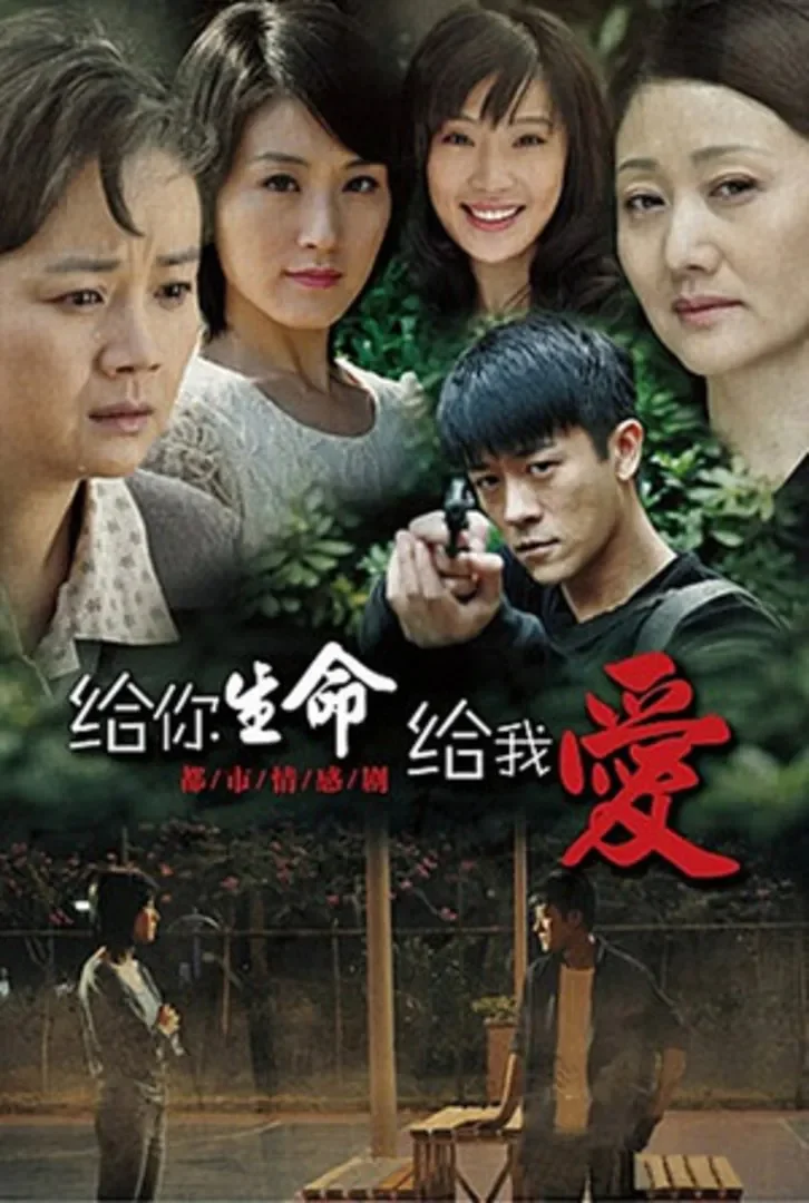 给你生命给我爱电视剧海报
