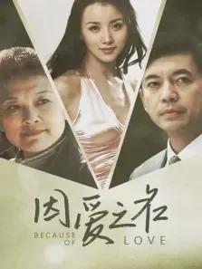 因爱之名电视剧海报
