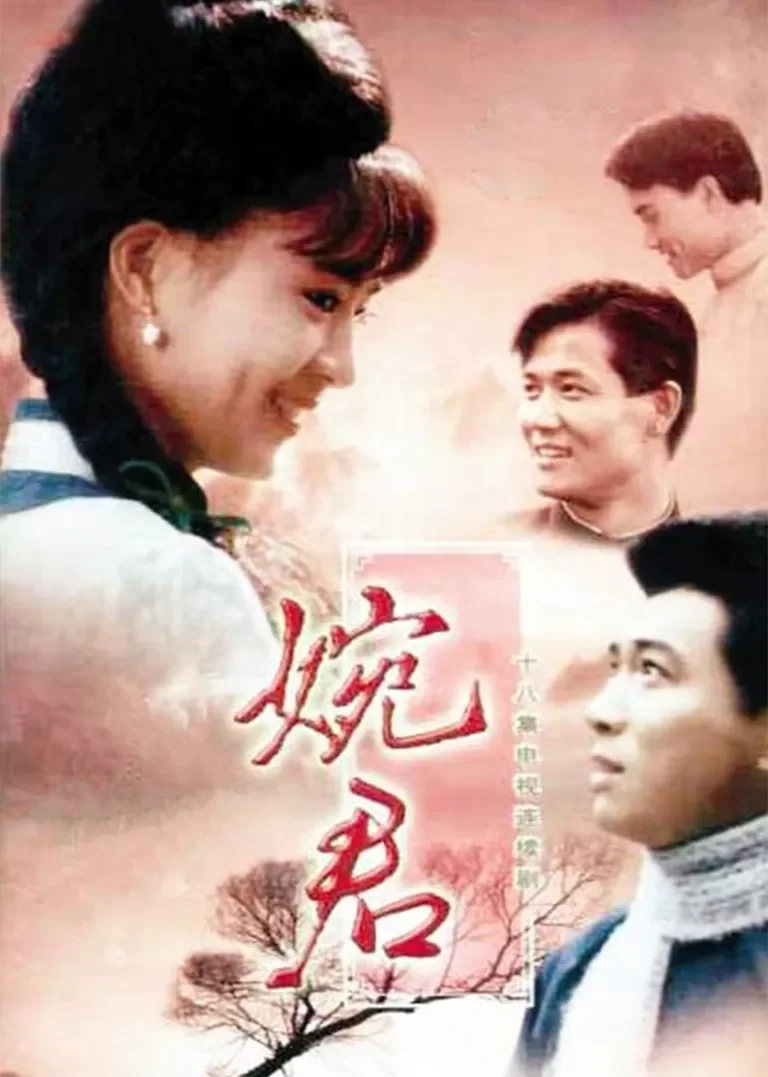 婉君电视剧海报