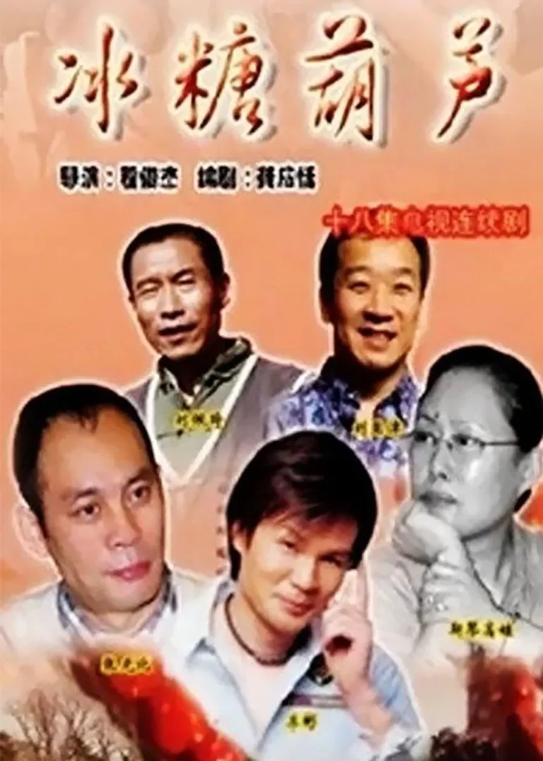 冰糖葫芦电视剧海报