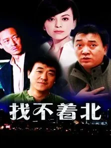 找不着北电视剧海报