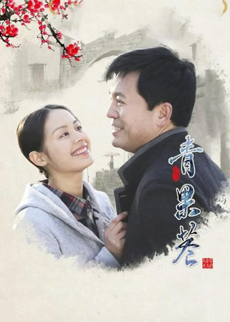 青果巷电视剧海报
