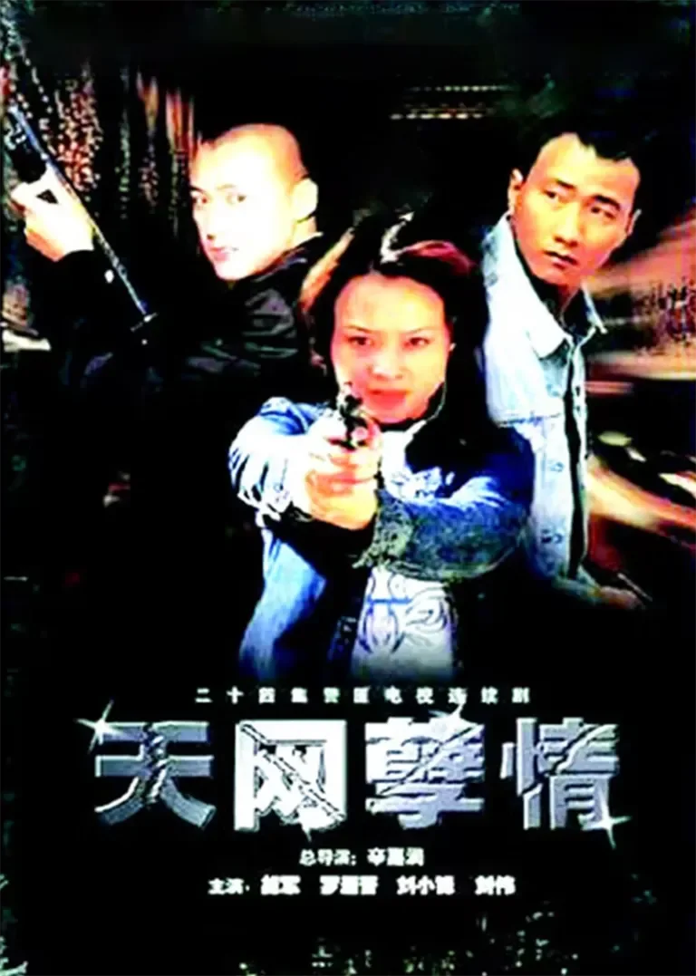 天网孽情电视剧海报