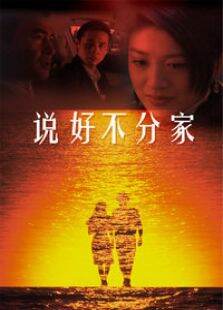 说好不分家