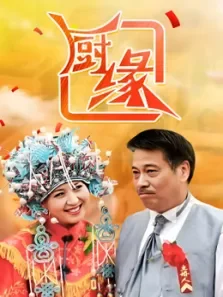 厨缘电视剧海报
