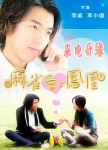 麻雀爱上凤凰电视剧海报
