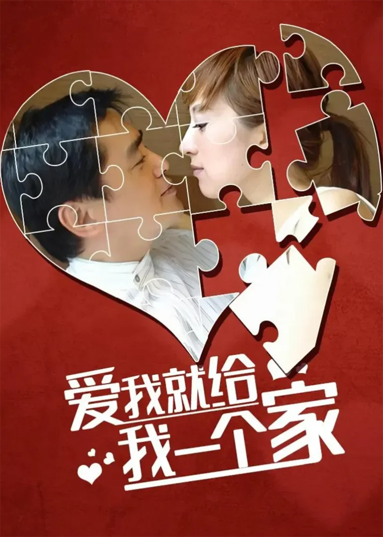 爱我给我一个家电视剧海报