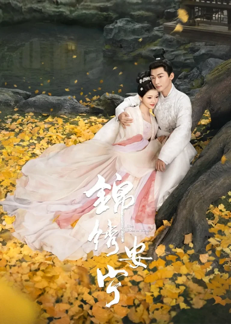 锦绣安宁电视剧海报
