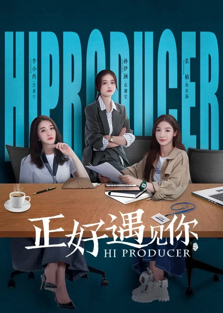正好遇见你电视剧海报