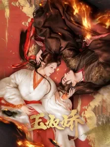 玉奴娇电视剧海报