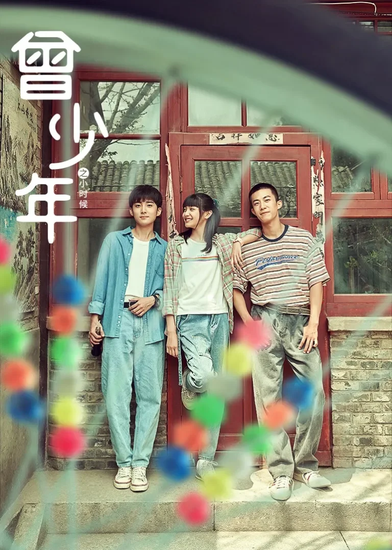 曾少年之小时候电视剧海报