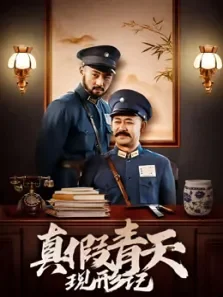 真假青天现形记电视剧海报