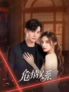 危情关系电视剧海报