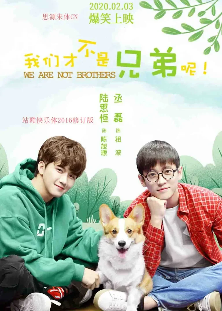我们才不是兄弟呢电视剧海报
