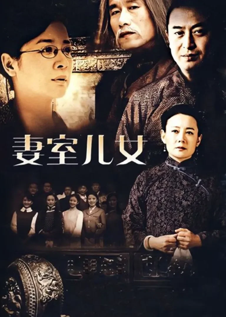 采桑子之妻室儿女电视剧海报