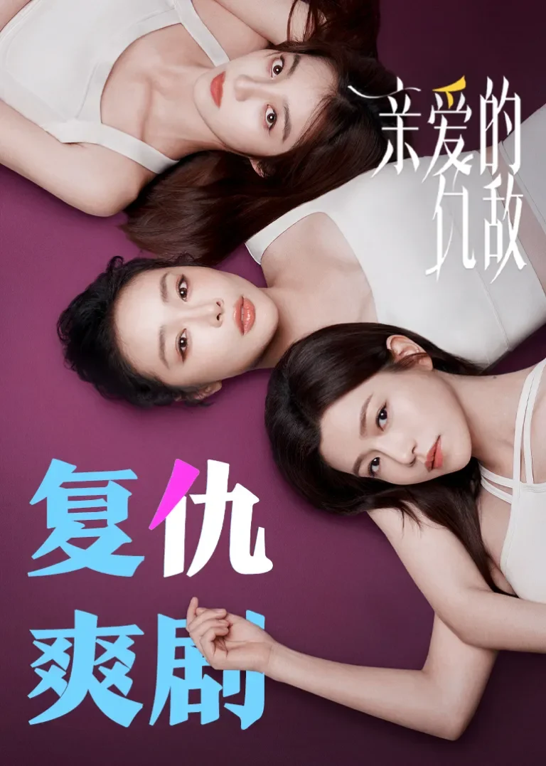 亲爱的仇敌电视剧海报