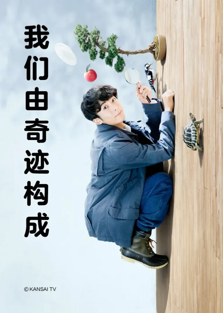 我们由奇迹构成电视剧海报