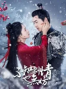 不知剧情也无妨电视剧海报
