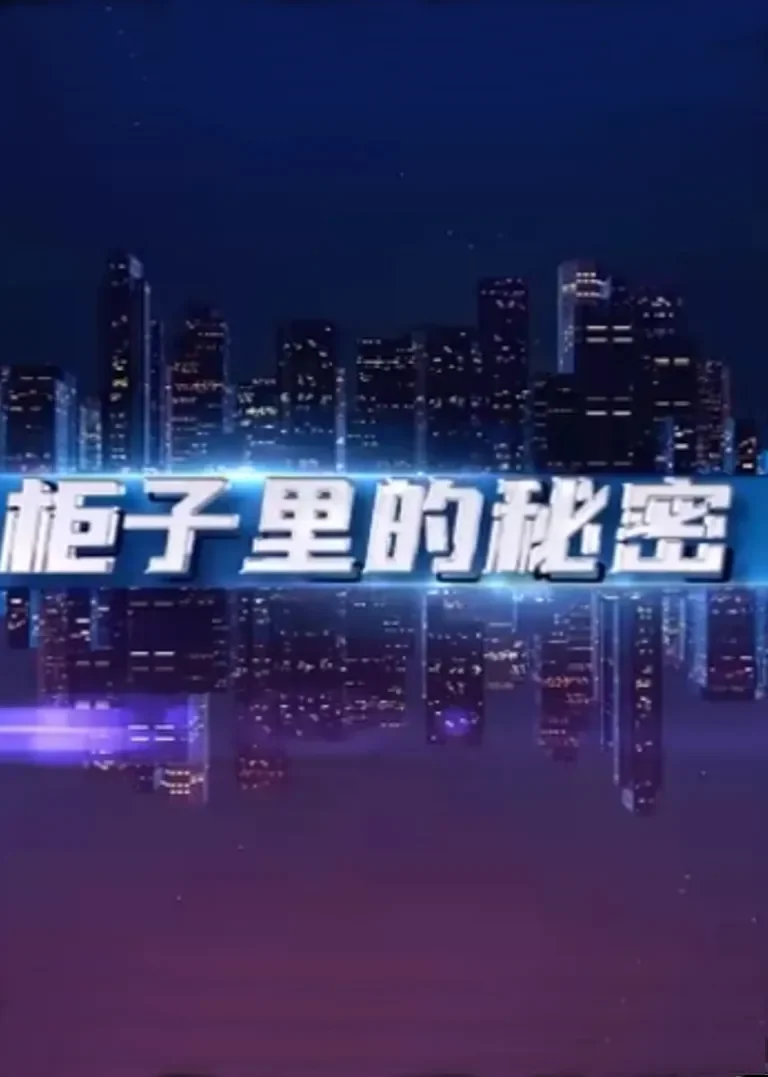 柜子里的秘密电视剧海报