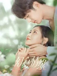 幻梦情缘电视剧海报