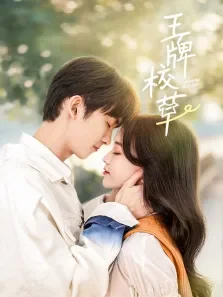 王牌校草电视剧海报