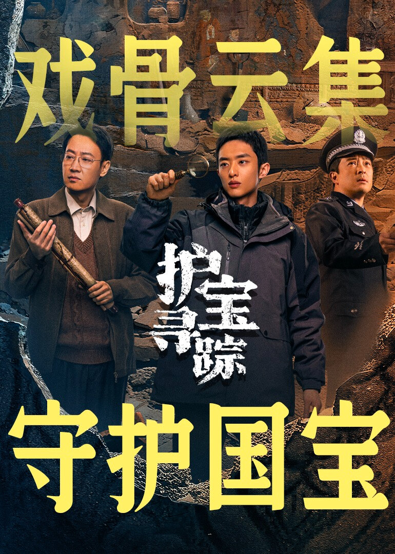 护宝寻踪