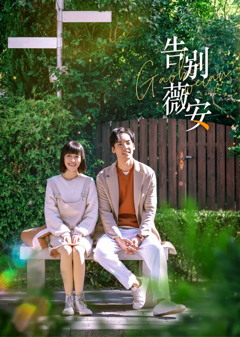 告别薇安电视剧海报