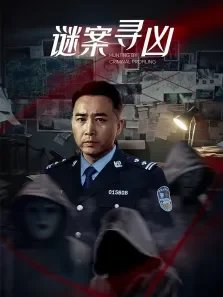 谜案寻凶电视剧海报