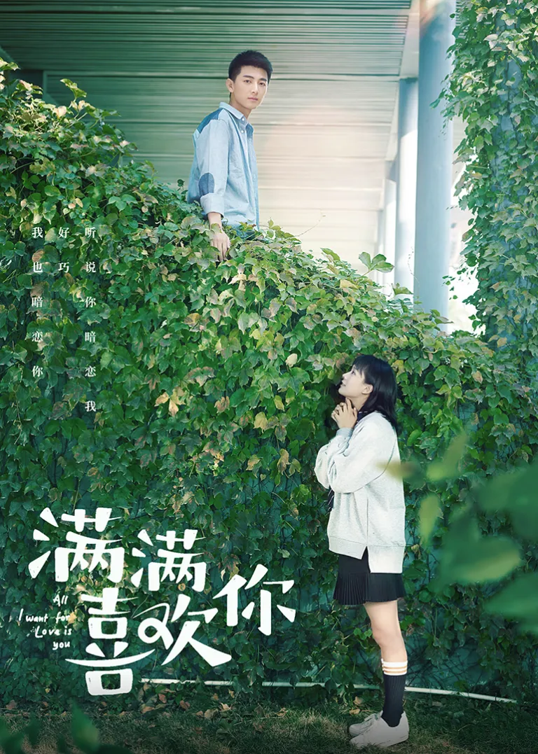 满满喜欢你电视剧海报