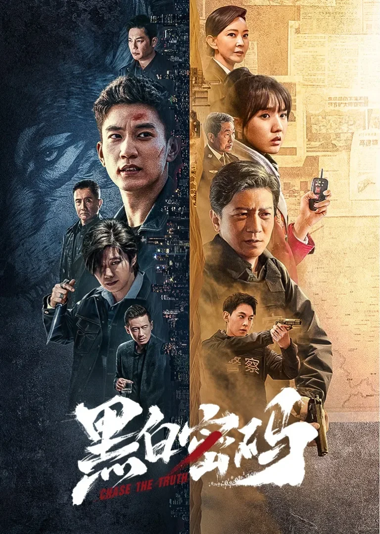 黑白密码电视剧海报