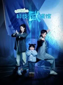 奶爸的科技武道馆电视剧海报