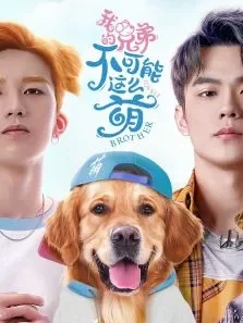 我的兄弟不可能这么萌电视剧海报