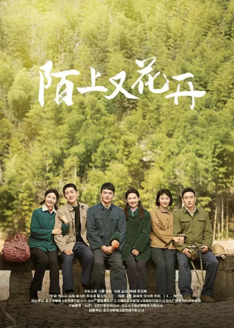 陌上又花开电视剧海报