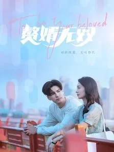赘婿无双电视剧海报