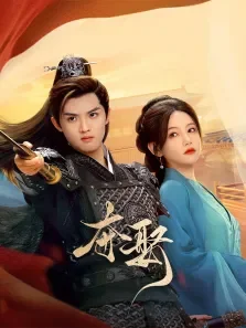 夺娶电视剧海报