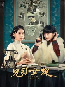 见习女探电视剧海报