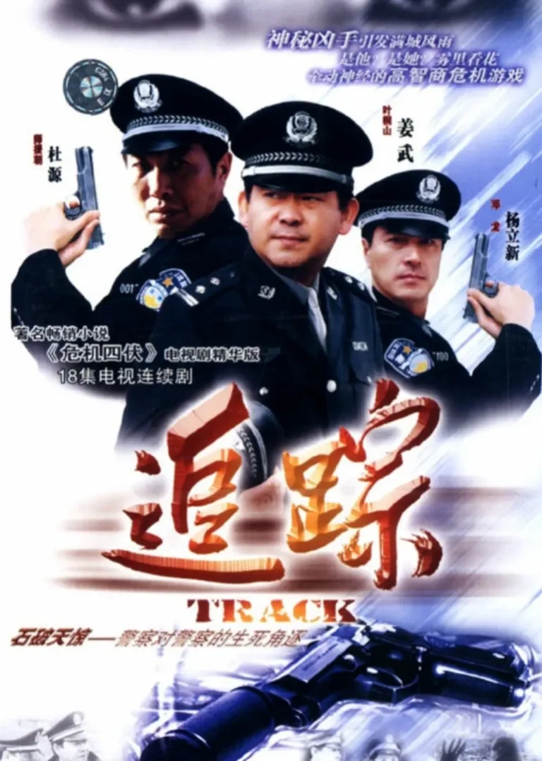 追踪电视剧海报