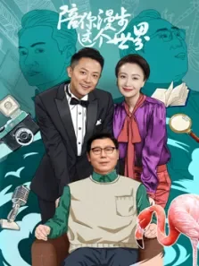陪你漫步这个世界电视剧海报