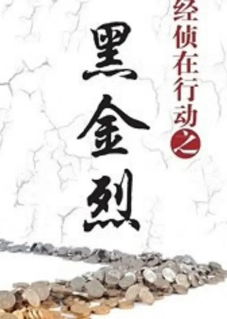经侦在行动之黑金烈电视剧海报