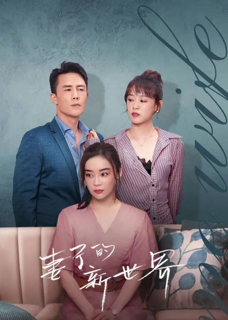 妻子的新世界电视剧海报